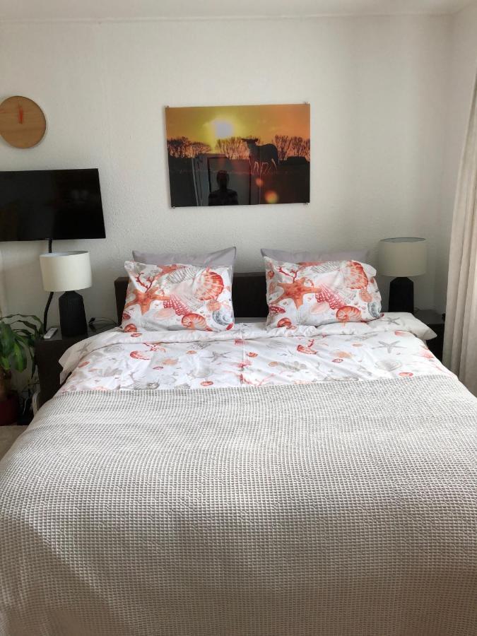 Apartament De Vier Berken 1 De Koog  Zewnętrze zdjęcie